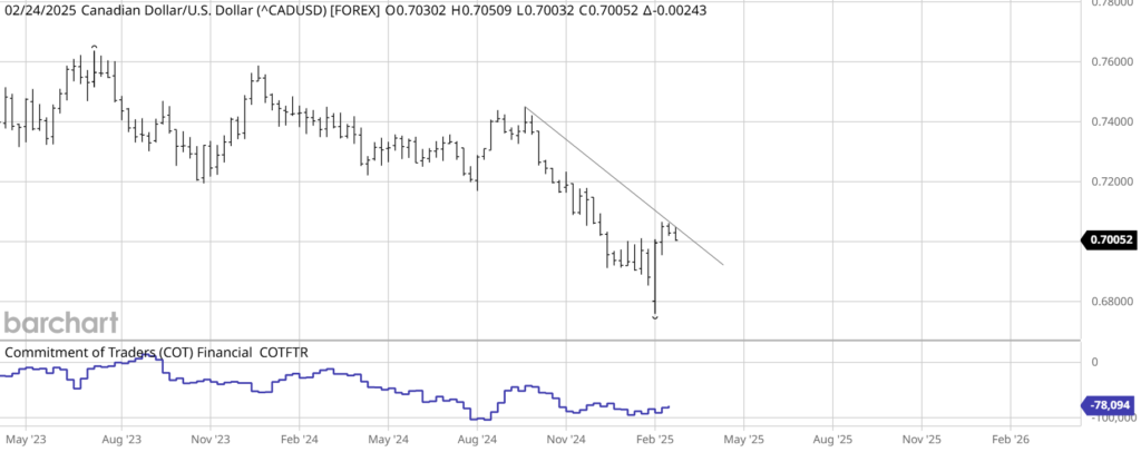 CAD COT